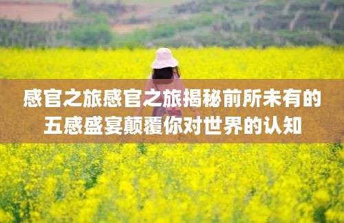 感官之旅感官之旅揭秘前所未有的五感盛宴颠覆你对世界的认知