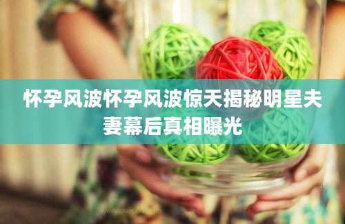 怀孕风波怀孕风波惊天揭秘明星夫妻幕后真相曝光