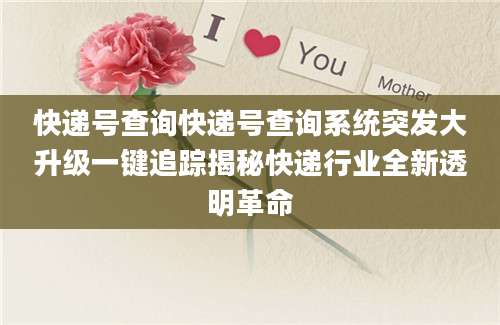 快递号查询快递号查询系统突发大升级一键追踪揭秘快递行业全新透明革命