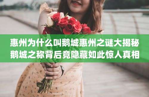 惠州为什么叫鹅城惠州之谜大揭秘鹅城之称背后竟隐藏如此惊人真相