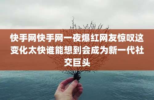 快手网快手网一夜爆红网友惊叹这变化太快谁能想到会成为新一代社交巨头