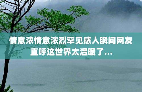 情意浓情意浓烈罕见感人瞬间网友直呼这世界太温暖了...