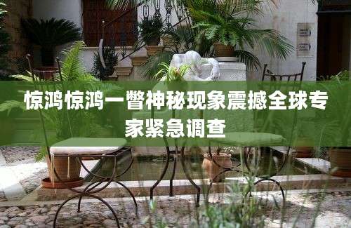 惊鸿惊鸿一瞥神秘现象震撼全球专家紧急调查