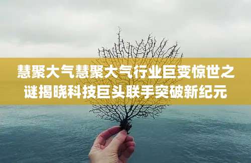 慧聚大气慧聚大气行业巨变惊世之谜揭晓科技巨头联手突破新纪元