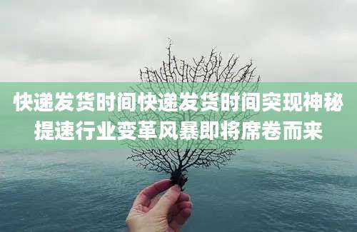 快递发货时间快递发货时间突现神秘提速行业变革风暴即将席卷而来