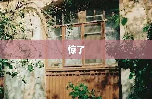 惊了