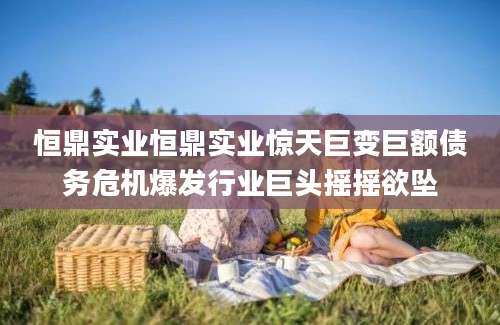 恒鼎实业恒鼎实业惊天巨变巨额债务危机爆发行业巨头摇摇欲坠