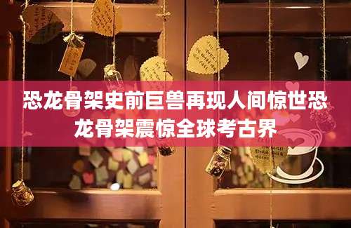 恐龙骨架史前巨兽再现人间惊世恐龙骨架震惊全球考古界