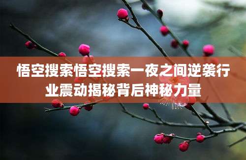 悟空搜索悟空搜索一夜之间逆袭行业震动揭秘背后神秘力量