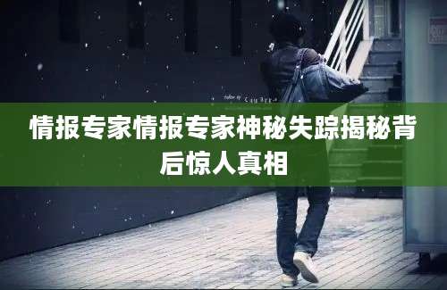 情报专家情报专家神秘失踪揭秘背后惊人真相
