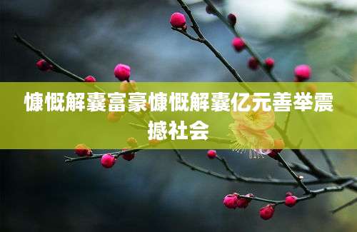 慷慨解囊富豪慷慨解囊亿元善举震撼社会