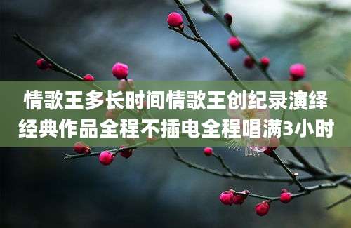 情歌王多长时间情歌王创纪录演绎经典作品全程不插电全程唱满3小时