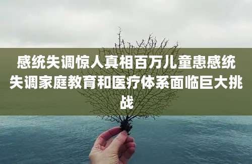 感统失调惊人真相百万儿童患感统失调家庭教育和医疗体系面临巨大挑战