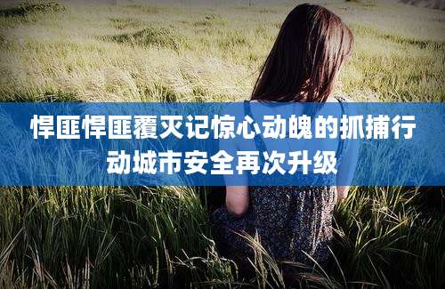 悍匪悍匪覆灭记惊心动魄的抓捕行动城市安全再次升级