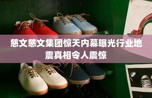 慈文慈文集团惊天内幕曝光行业地震真相令人震惊