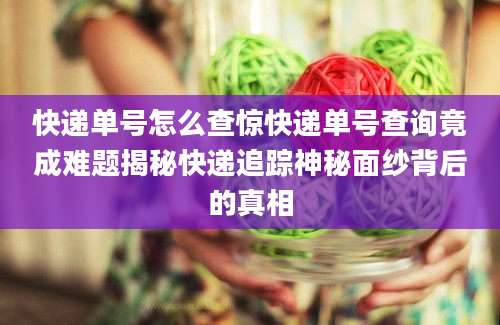 快递单号怎么查惊快递单号查询竟成难题揭秘快递追踪神秘面纱背后的真相