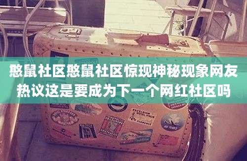 憨鼠社区憨鼠社区惊现神秘现象网友热议这是要成为下一个网红社区吗