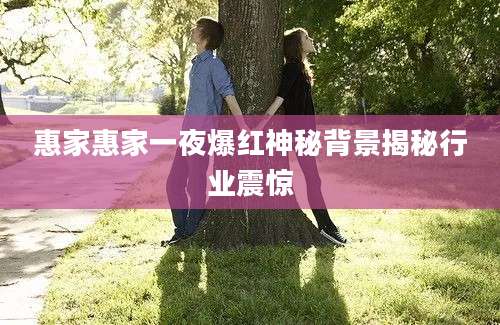 惠家惠家一夜爆红神秘背景揭秘行业震惊