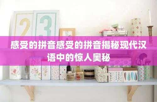 感受的拼音感受的拼音揭秘现代汉语中的惊人奥秘