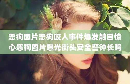 恶狗图片恶狗咬人事件爆发触目惊心恶狗图片曝光街头安全警钟长鸣