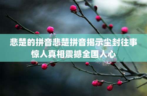 悲楚的拼音悲楚拼音揭示尘封往事惊人真相震撼全国人心
