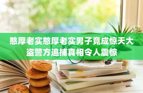 憨厚老实憨厚老实男子竟成惊天大盗警方追捕真相令人震惊