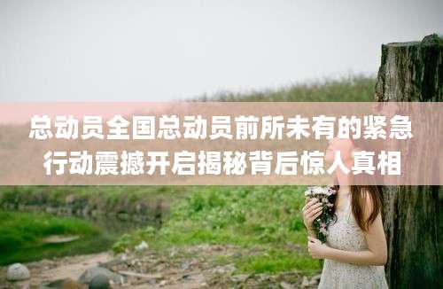 总动员全国总动员前所未有的紧急行动震撼开启揭秘背后惊人真相