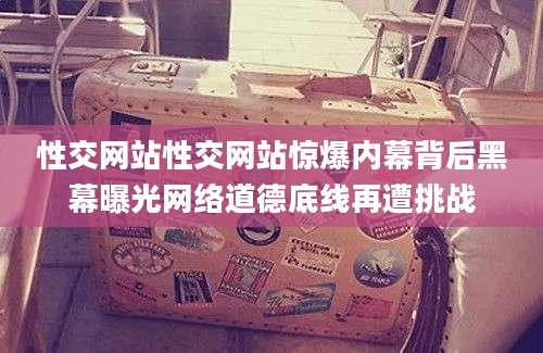 性交网站性交网站惊爆内幕背后黑幕曝光网络道德底线再遭挑战