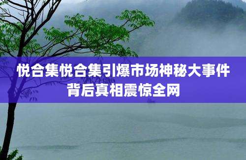 悦合集悦合集引爆市场神秘大事件背后真相震惊全网