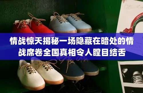 情战惊天揭秘一场隐藏在暗处的情战席卷全国真相令人瞠目结舌