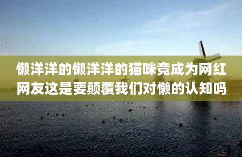 懒洋洋的懒洋洋的猫咪竟成为网红网友这是要颠覆我们对懒的认知吗