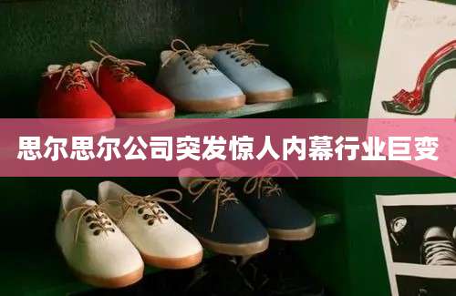 思尔思尔公司突发惊人内幕行业巨变