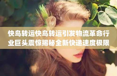快鸟转运快鸟转运引发物流革命行业巨头震惊揭秘全新快递速度极限