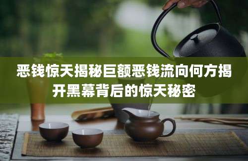 恶钱惊天揭秘巨额恶钱流向何方揭开黑幕背后的惊天秘密