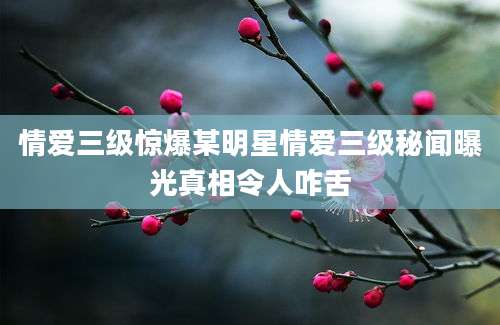 情爱三级惊爆某明星情爱三级秘闻曝光真相令人咋舌