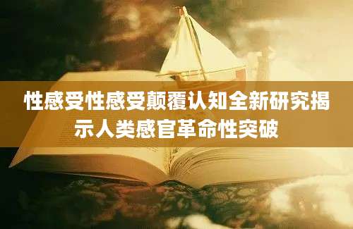 性感受性感受颠覆认知全新研究揭示人类感官革命性突破