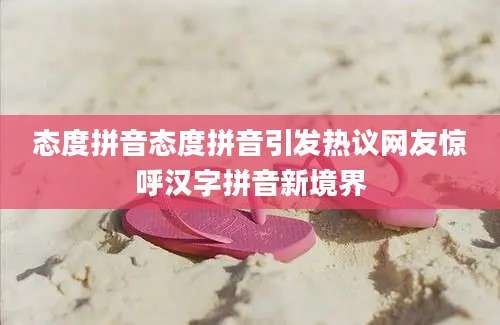 态度拼音态度拼音引发热议网友惊呼汉字拼音新境界