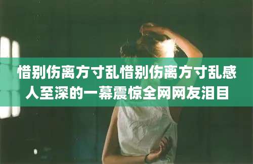 惜别伤离方寸乱惜别伤离方寸乱感人至深的一幕震惊全网网友泪目