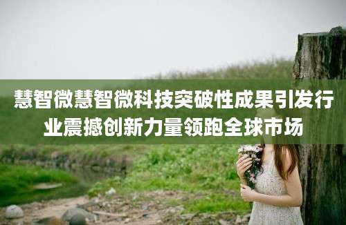 慧智微慧智微科技突破性成果引发行业震撼创新力量领跑全球市场