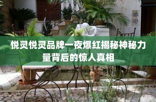 悦灵悦灵品牌一夜爆红揭秘神秘力量背后的惊人真相