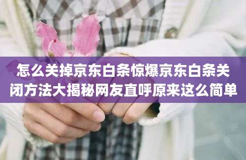 怎么关掉京东白条惊爆京东白条关闭方法大揭秘网友直呼原来这么简单