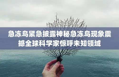 急冻鸟紧急披露神秘急冻鸟现象震撼全球科学家惊呼未知领域