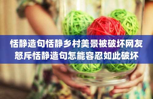 恬静造句恬静乡村美景被破坏网友怒斥恬静造句怎能容忍如此破坏