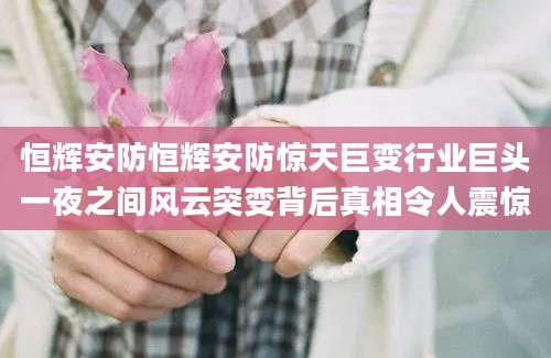 恒辉安防恒辉安防惊天巨变行业巨头一夜之间风云突变背后真相令人震惊