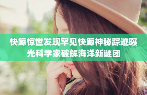 快鲸惊世发现罕见快鲸神秘踪迹曝光科学家破解海洋新谜团