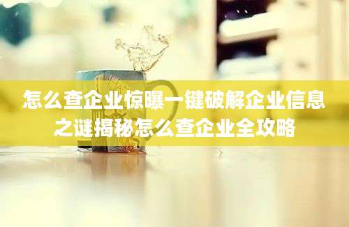 怎么查企业惊曝一键破解企业信息之谜揭秘怎么查企业全攻略
