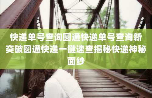 快递单号查询圆通快递单号查询新突破圆通快递一键速查揭秘快递神秘面纱