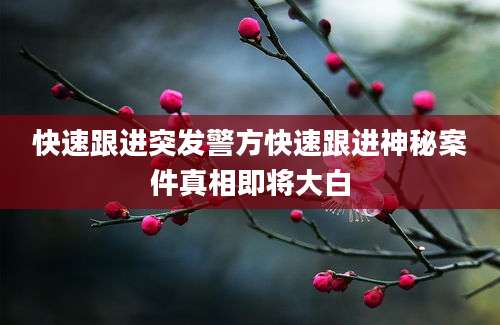 快速跟进突发警方快速跟进神秘案件真相即将大白