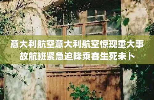 意大利航空意大利航空惊现重大事故航班紧急迫降乘客生死未卜