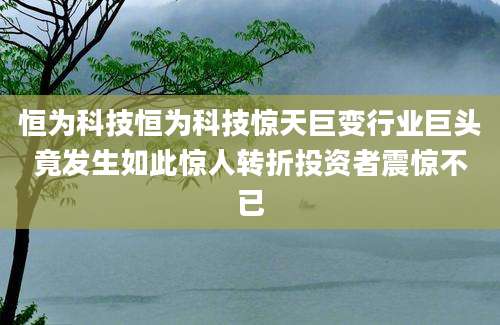 恒为科技恒为科技惊天巨变行业巨头竟发生如此惊人转折投资者震惊不已
